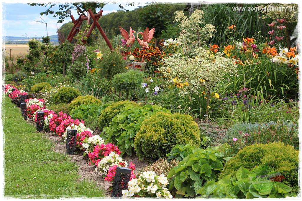 Bylinowy ogród 25 Bylinowy ogród 25