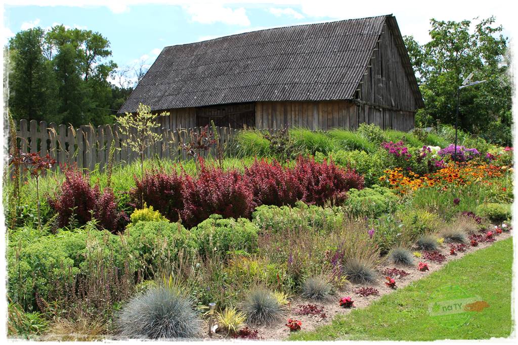 Bylinowy ogród 26 Bylinowy ogród 26