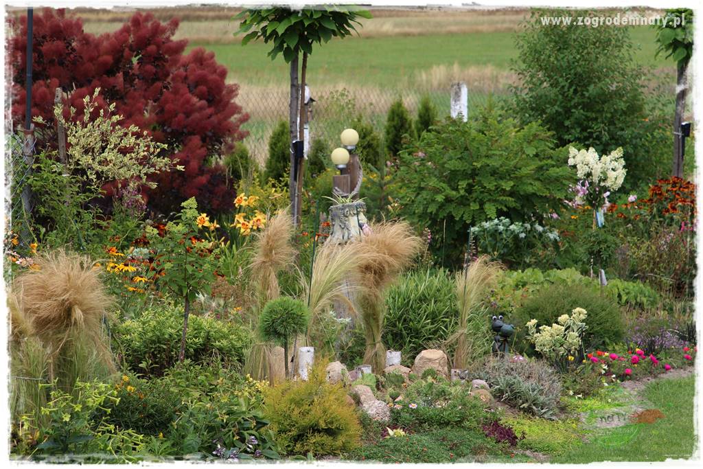 Bylinowy ogród 27