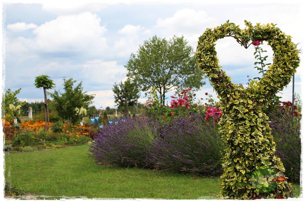 Bylinowy ogród 28 Bylinowy ogród 28