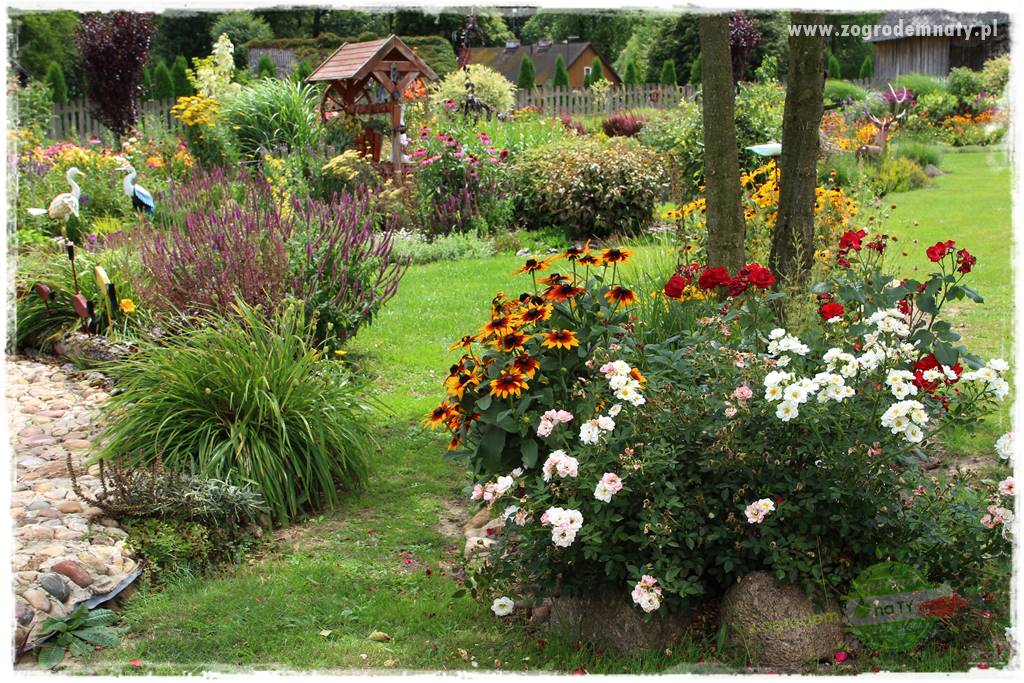 Bylinowy ogród 29 Bylinowy ogród 29