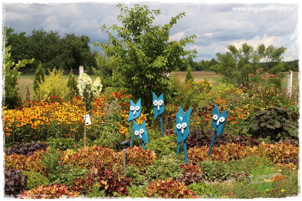 Bylinowy ogród 3 Bylinowy ogród 3