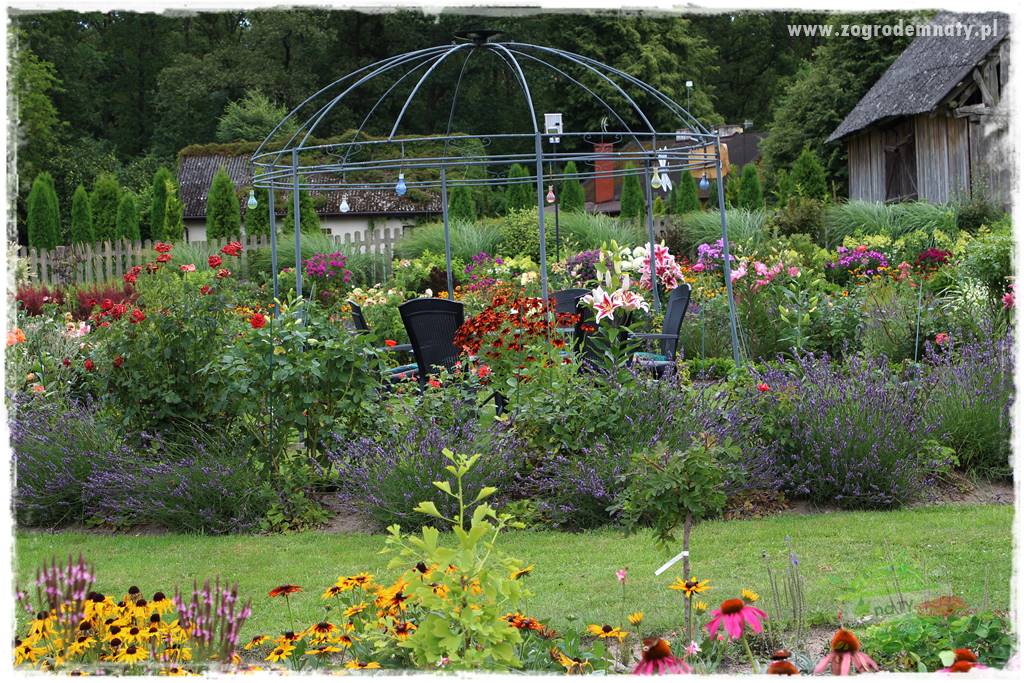 Bylinowy ogród 30 Bylinowy ogród 30