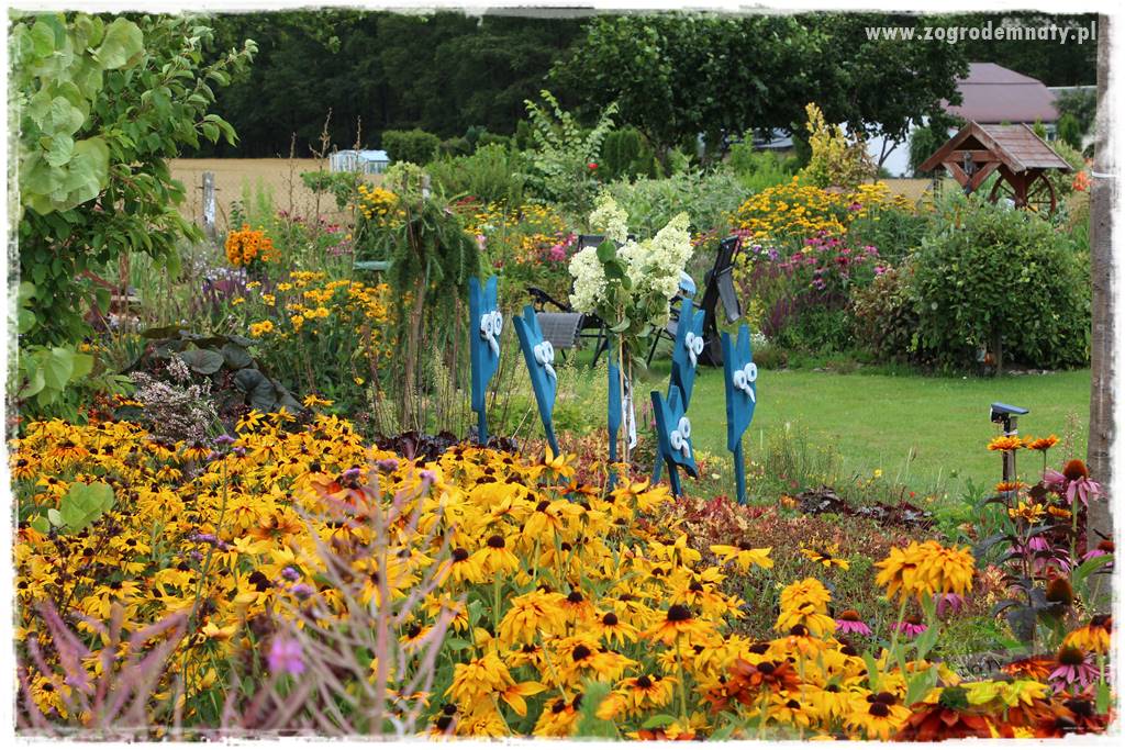 Bylinowy ogród 33 Bylinowy ogród 33