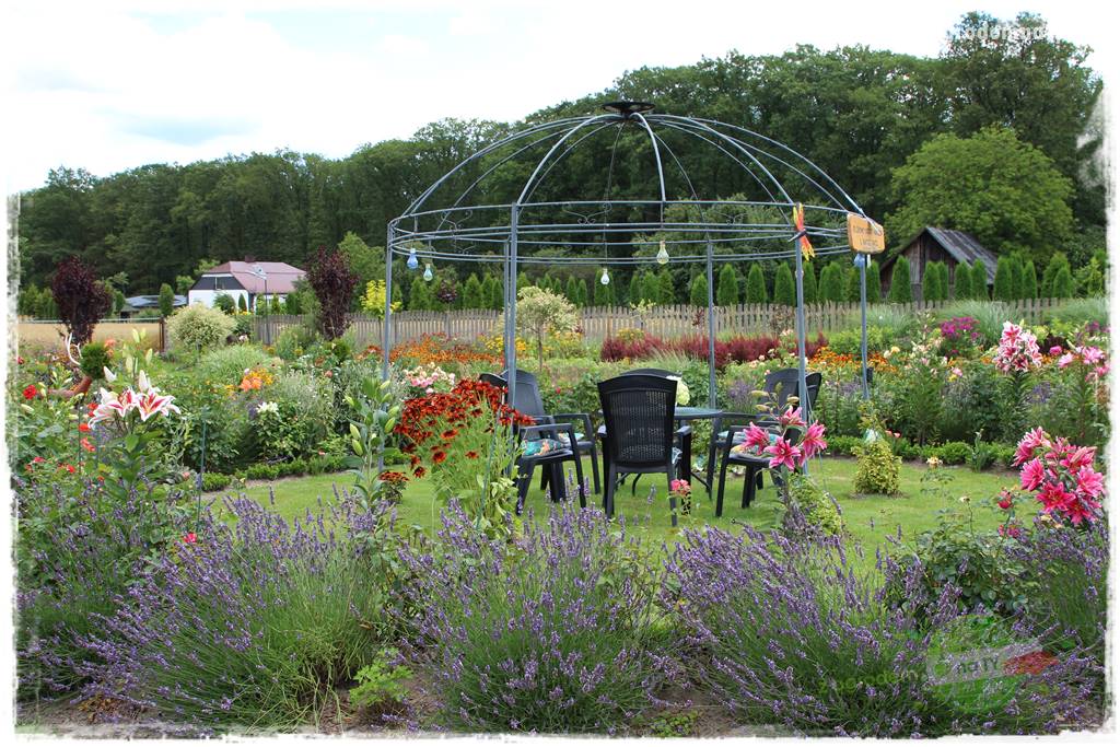 Bylinowy ogród 34 Bylinowy ogród 34