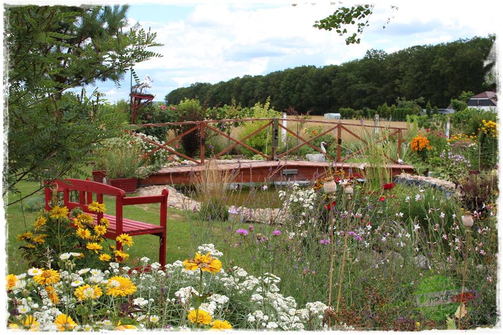 Bylinowy ogród 35 Bylinowy ogród 35