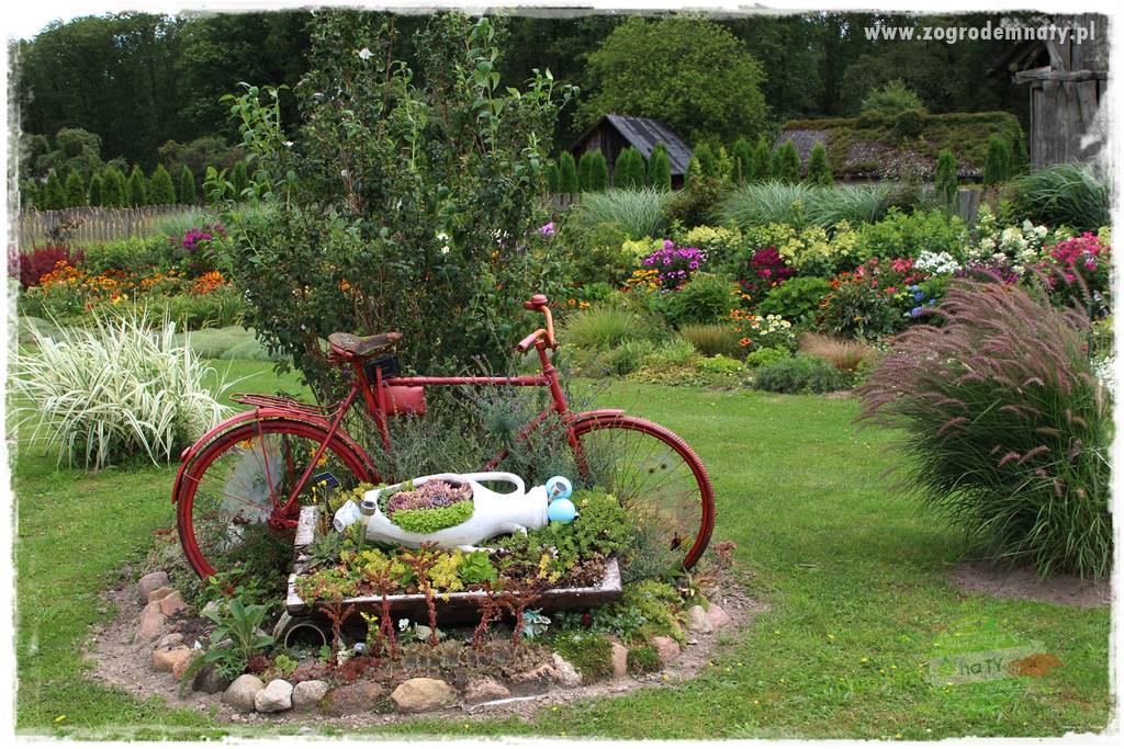 Bylinowy ogród 36 Bylinowy ogród 36