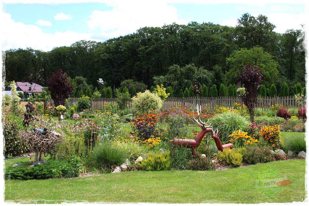 Bylinowy ogród 38 Bylinowy ogród 38