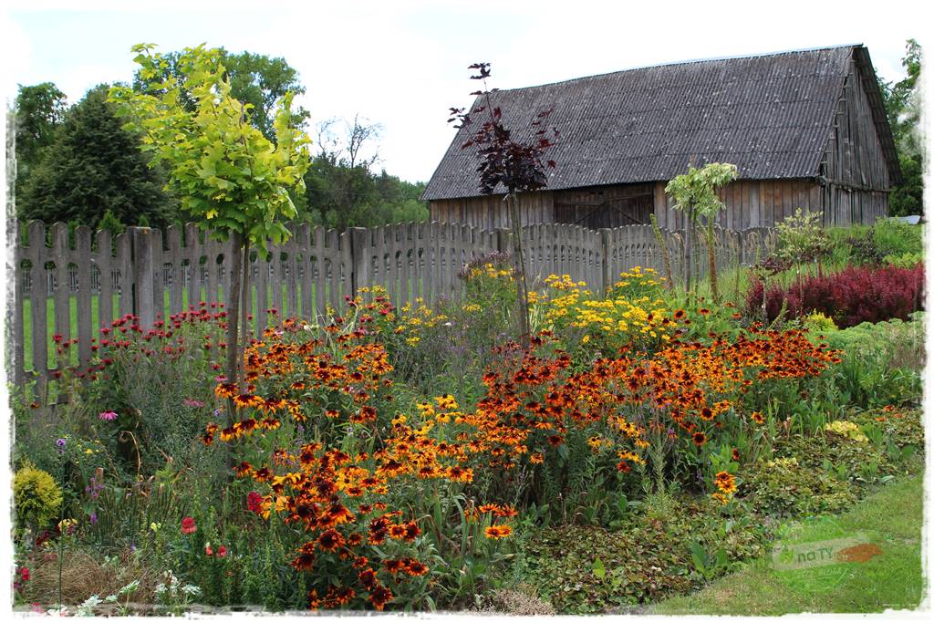 Bylinowy ogród 39 Bylinowy ogród 39