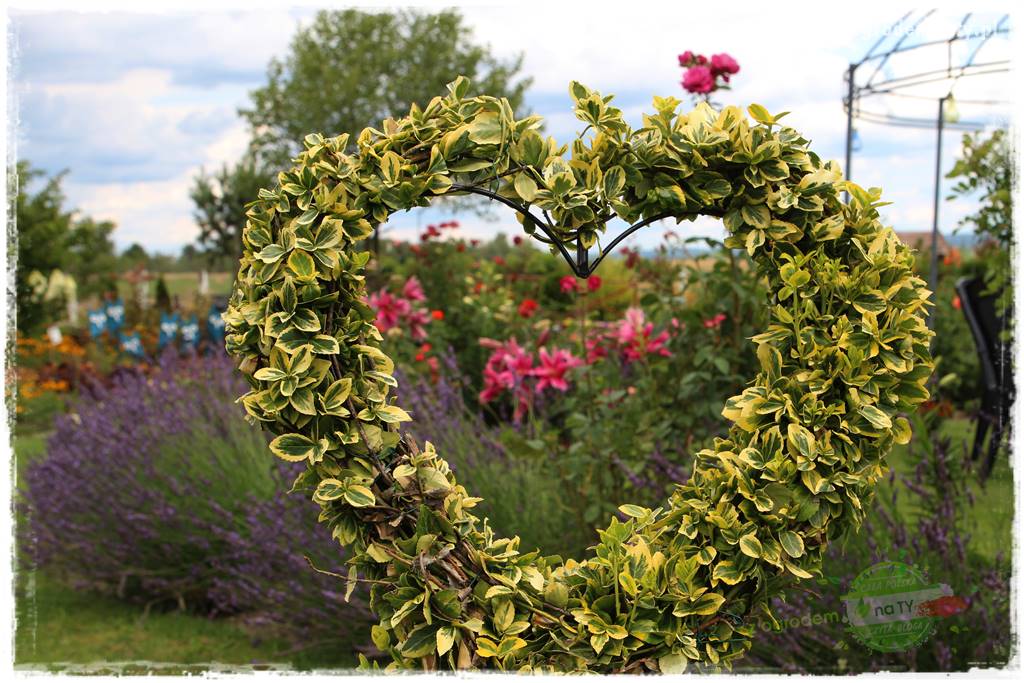 Bylinowy ogród 4 Bylinowy ogród 4