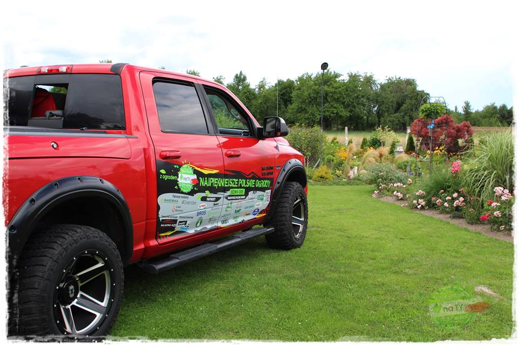 Bylinowy ogród 40 Bylinowy ogród 40