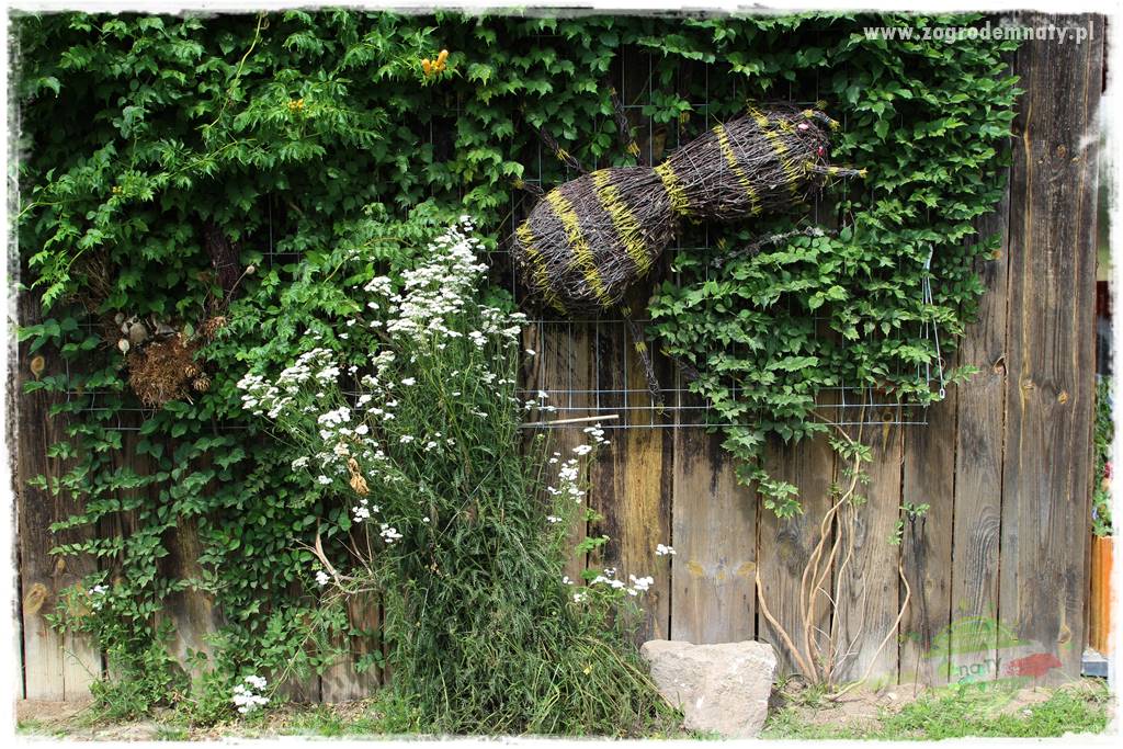 Bylinowy ogród 400 Bylinowy ogród 400