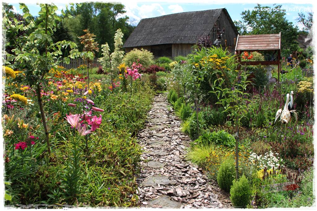 Bylinowy ogród 403 Bylinowy ogród 403