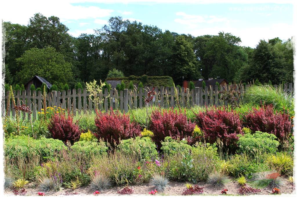 Bylinowy ogród 406 Bylinowy ogród 406