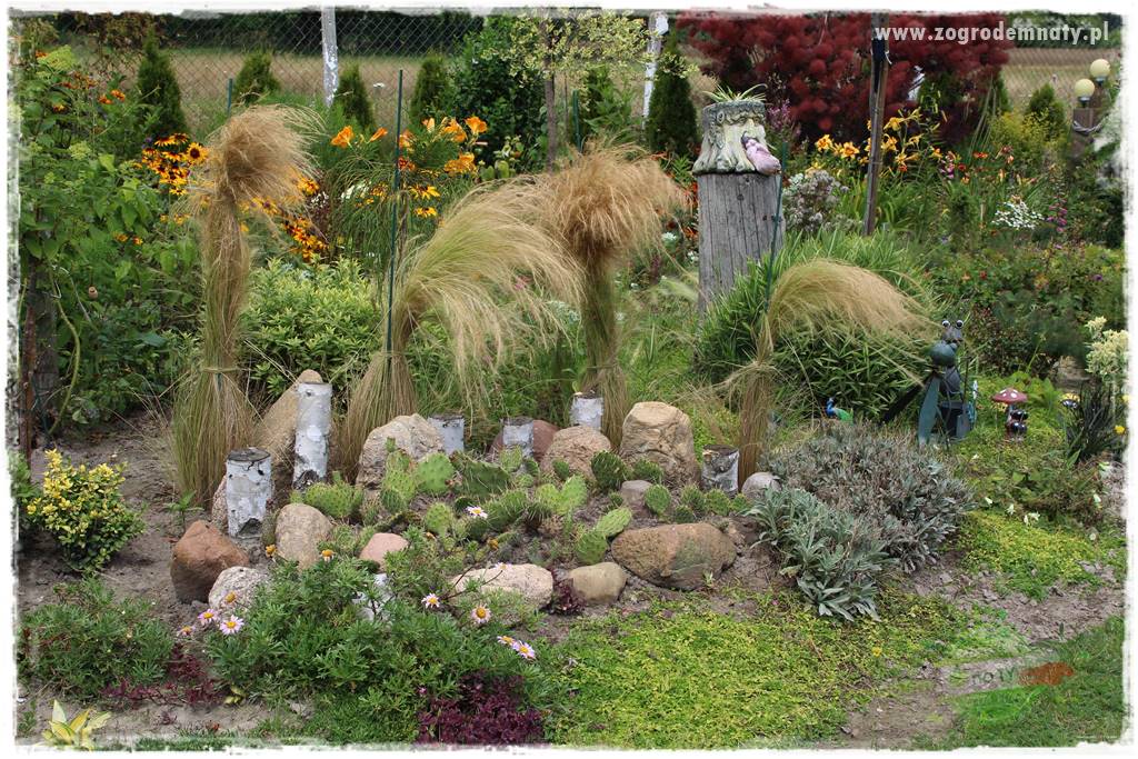 Bylinowy ogród 408 Bylinowy ogród 408