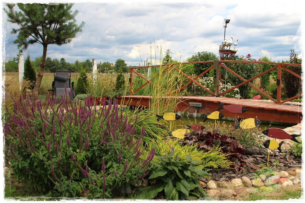 Bylinowy ogród 409 Bylinowy ogród 409