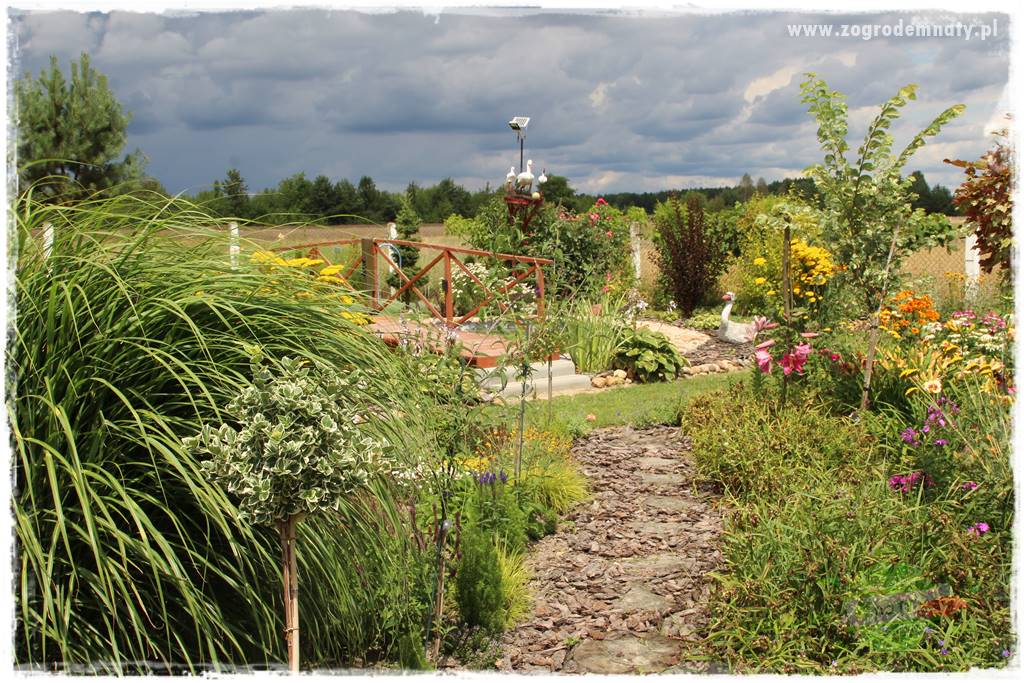 Bylinowy ogród 410 Bylinowy ogród 410