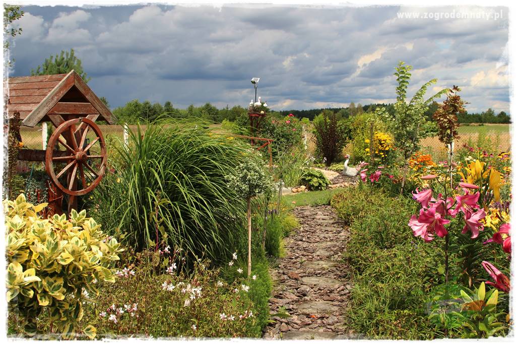 Bylinowy ogród 414 Bylinowy ogród 414