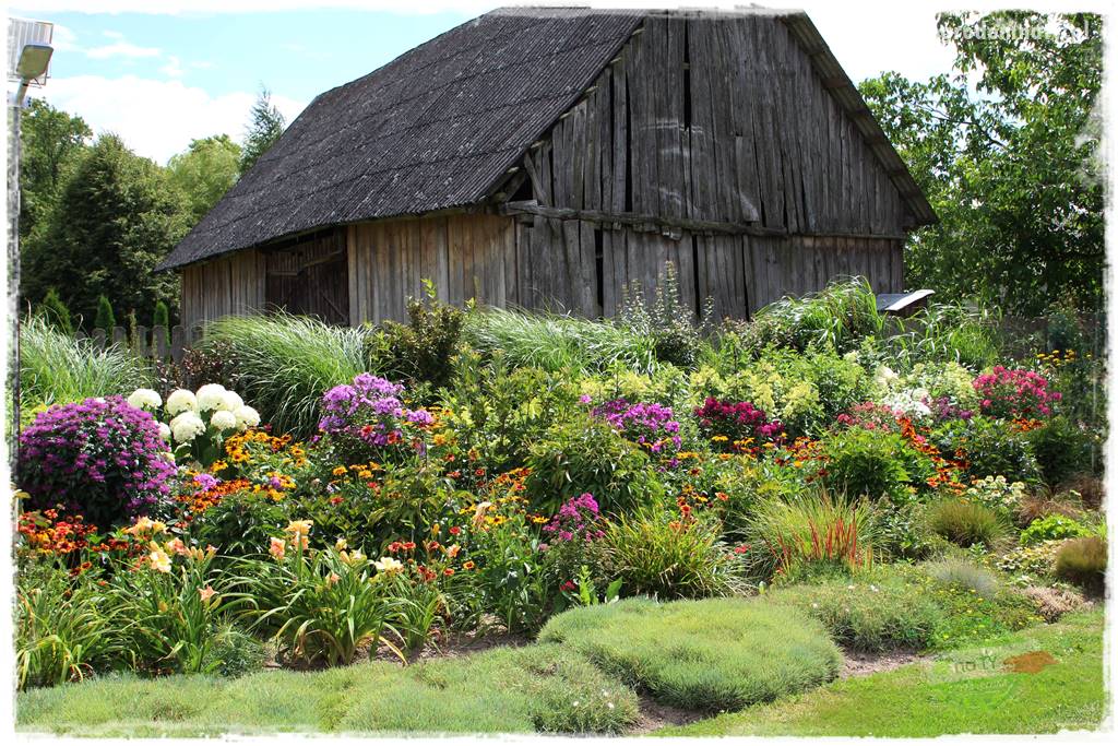 Bylinowy ogród 415 Bylinowy ogród 415