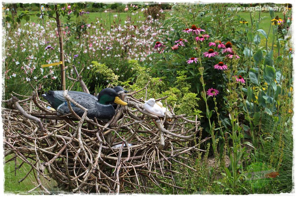 Bylinowy ogród 417 Bylinowy ogród 417