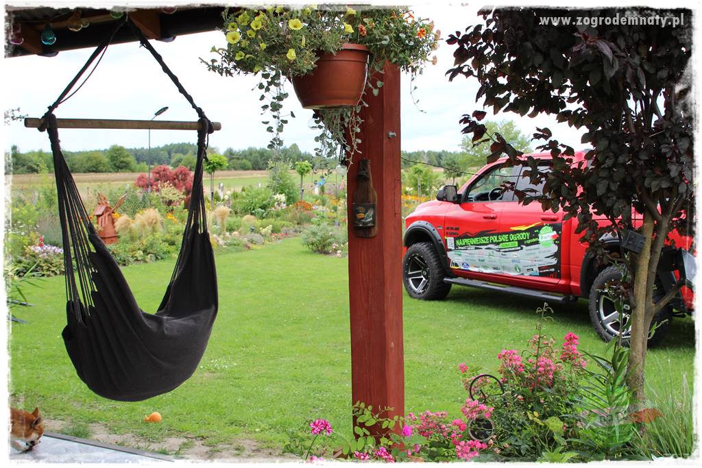 Bylinowy ogród 419 Bylinowy ogród 419