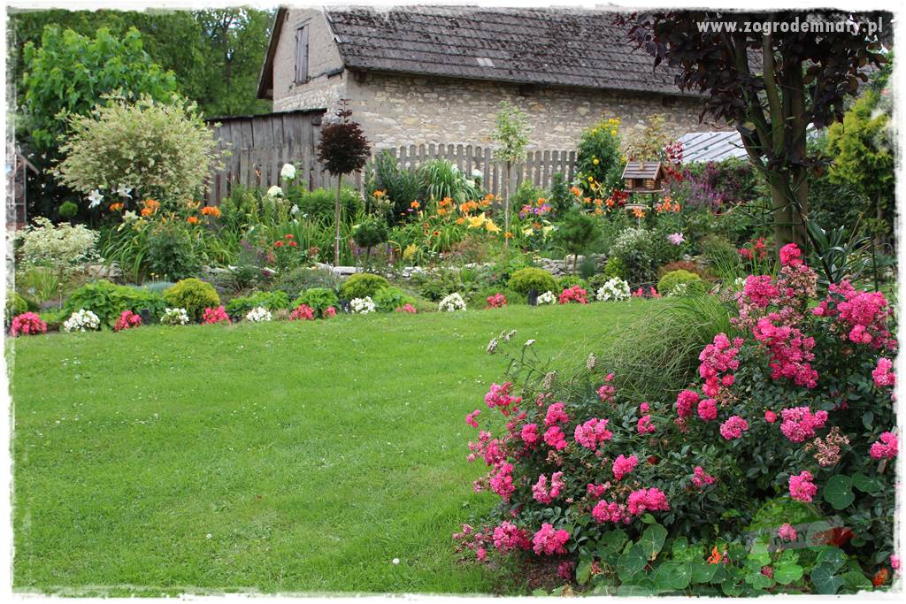 Bylinowy ogród 420 Bylinowy ogród 420