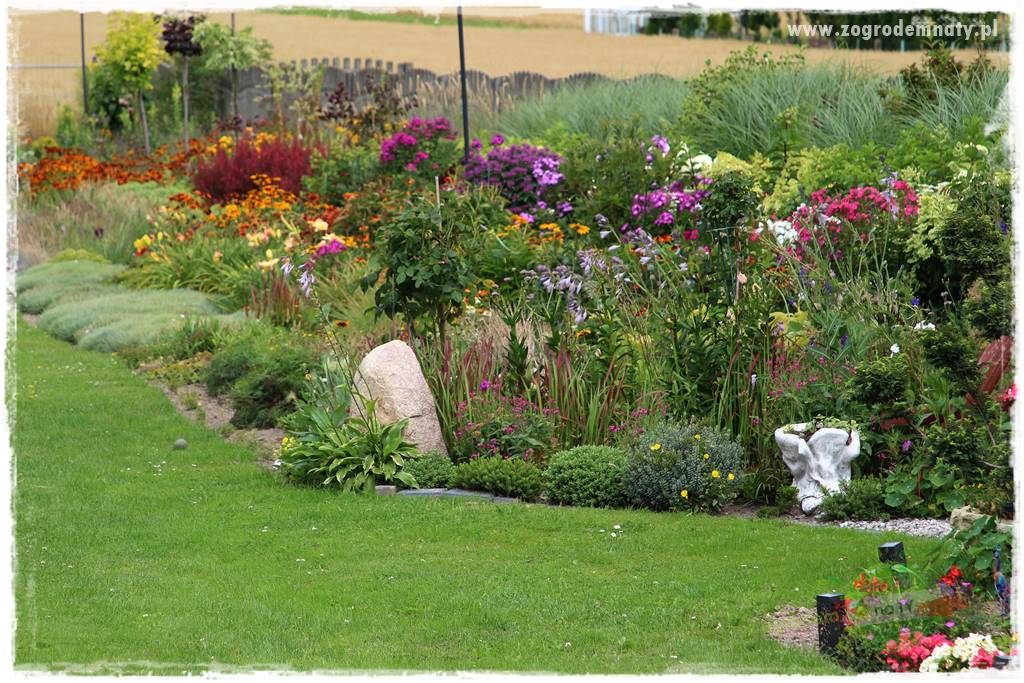 Bylinowy ogród 421 Bylinowy ogród 421