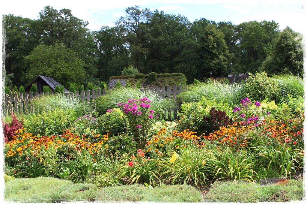 Bylinowy ogród 422 Bylinowy ogród 422