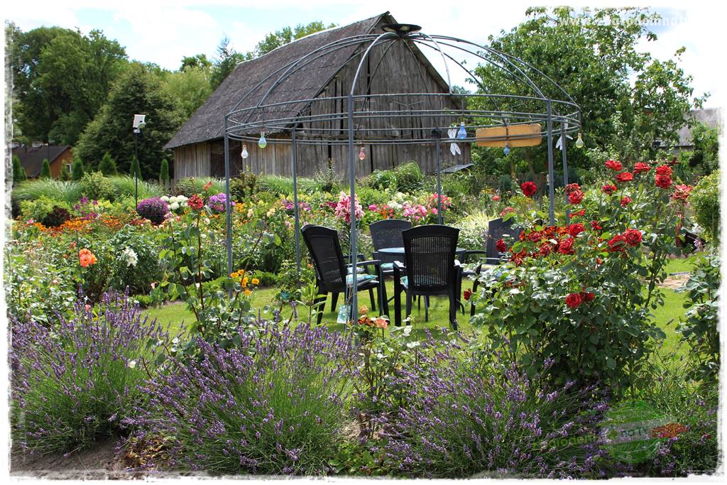 Bylinowy ogród 5 Bylinowy ogród 5