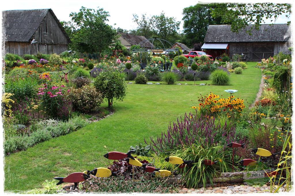 Bylinowy ogród 8 Bylinowy ogród 8