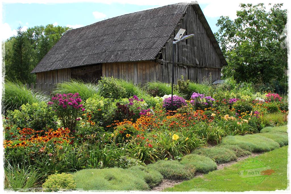 Bylinowy ogród 9 Bylinowy ogród 9