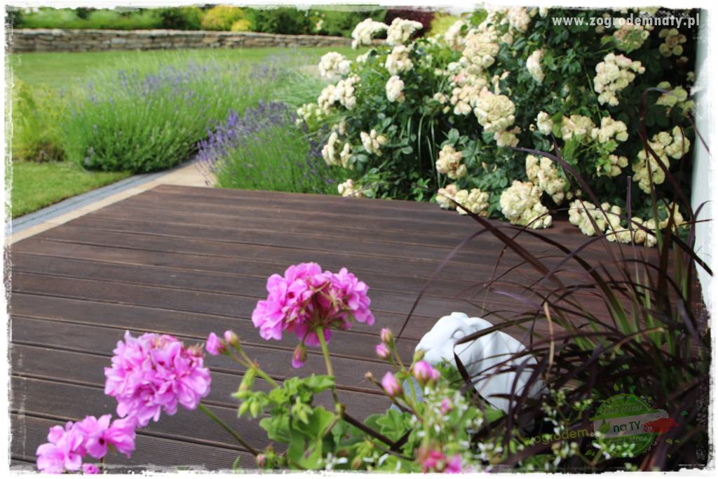 Deska podłogowa na taras 16 Deska podłogowa na taras 16