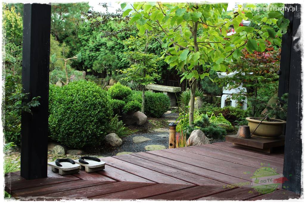 Deska podłogowa na taras 3 Deska podłogowa na taras 3