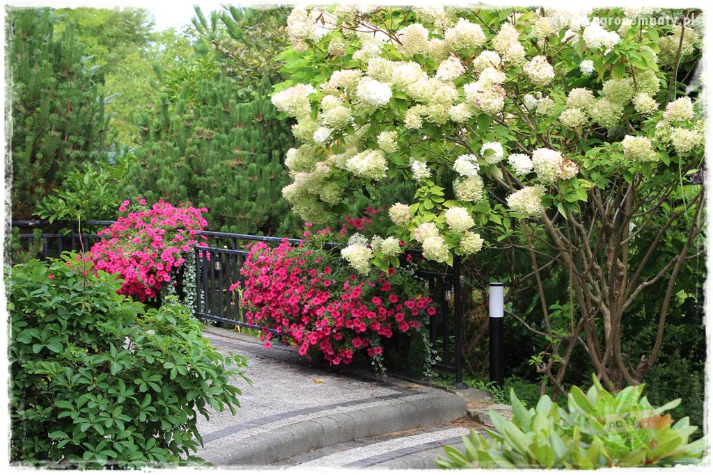 Pomysły na taras 12 Pomysły na taras 12