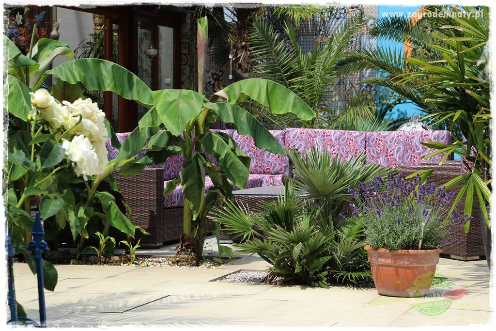 Pomysły na taras 18 Pomysły na taras 18