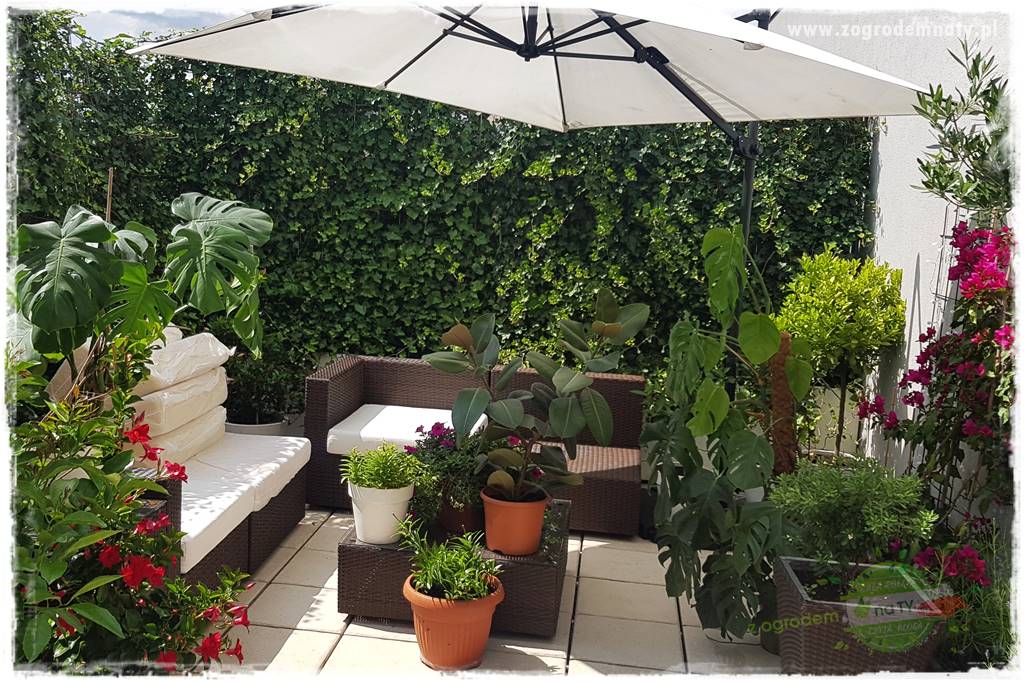 Pomysły na taras 30 Pomysły na taras 30