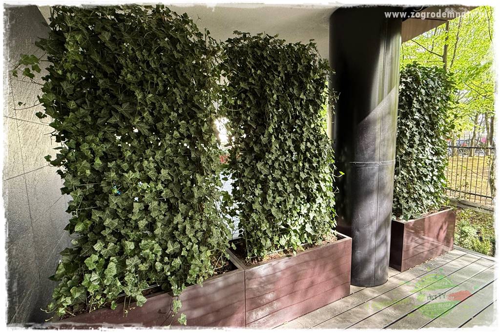 Pomysły na taras 32 Pomysły na taras 32