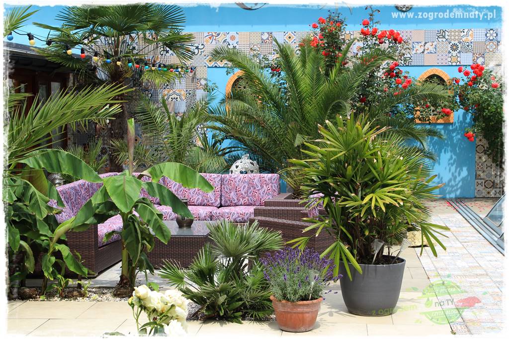 Pomysły na taras 7 Pomysły na taras 7