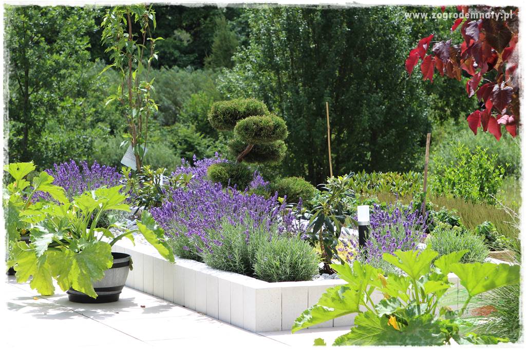 Pomysły na taras 8 Pomysły na taras 8