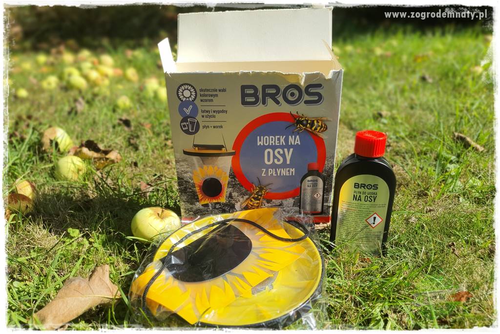 Pułapka na osy 21 Pułapka na osy 21