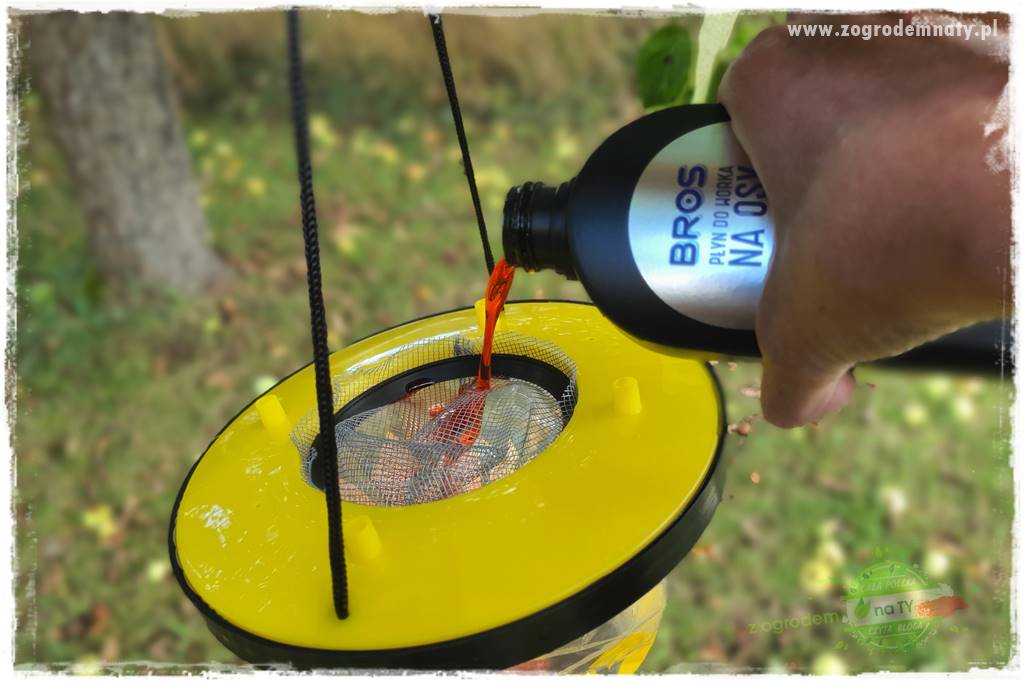 Pułapka na osy 24 Pułapka na osy 24