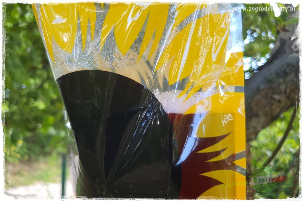 Pułapka na osy 25 Pułapka na osy 25