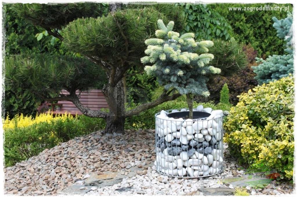 dekoracje ogrodowe z gabionów 22 dekoracje ogrodowe z gabionów 22