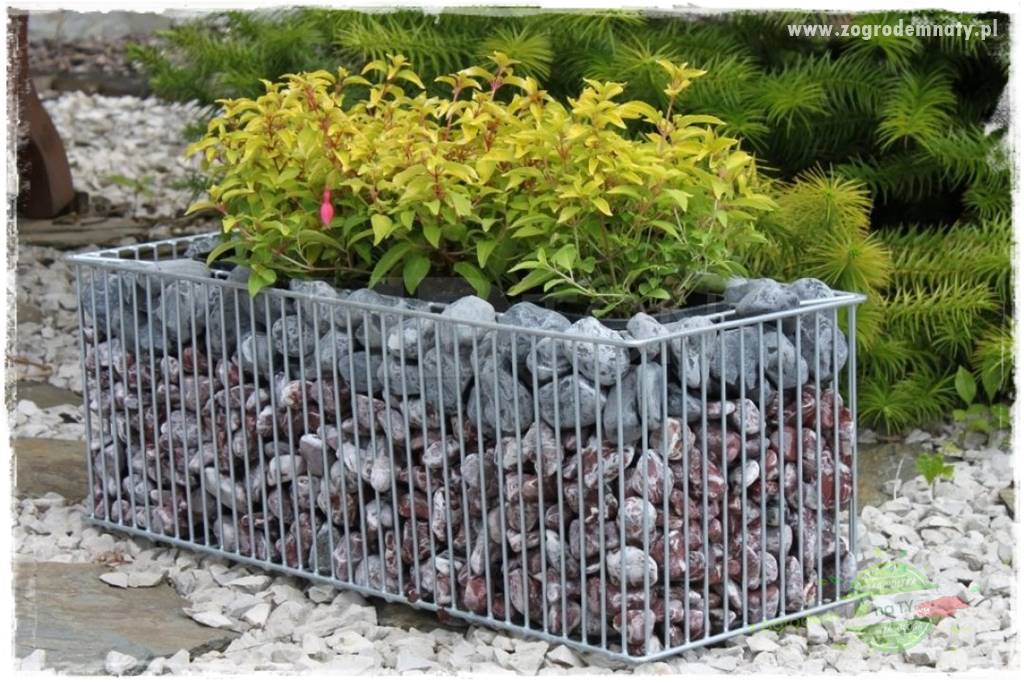 dekoracje ogrodowe z gabionów 23 dekoracje ogrodowe z gabionów 23