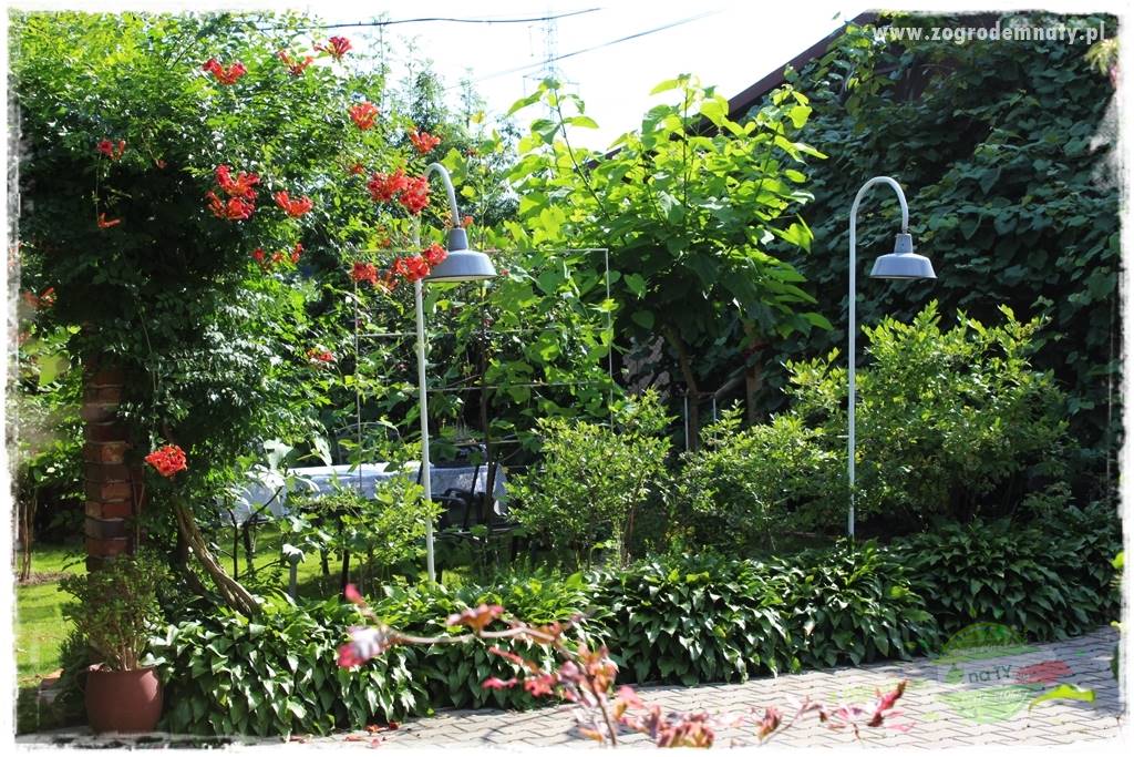 pomysły na oświetlenie ogrodu 27 pomysły na oświetlenie ogrodu 27