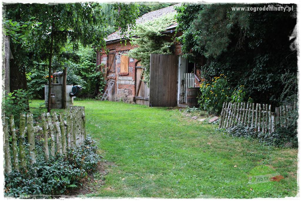 siedlisko łowickie 40