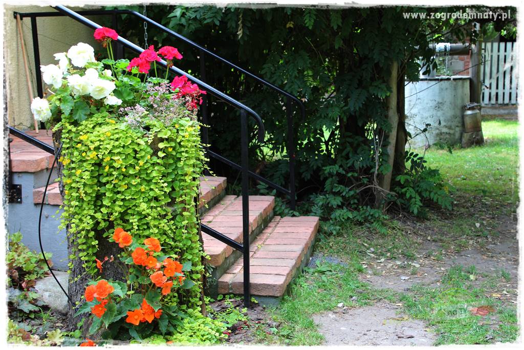 siedlisko łowickie 402