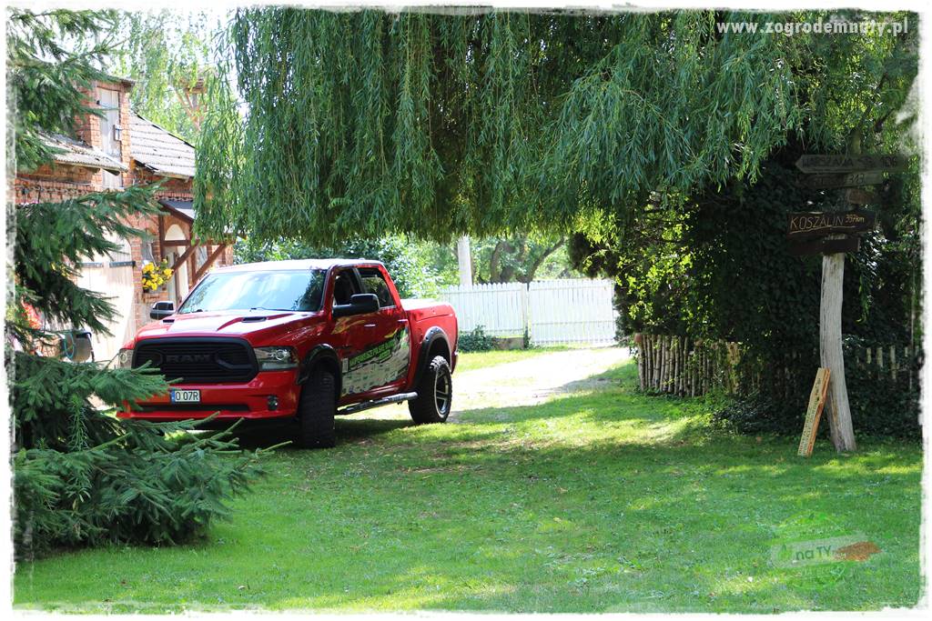 siedlisko łowickie 403