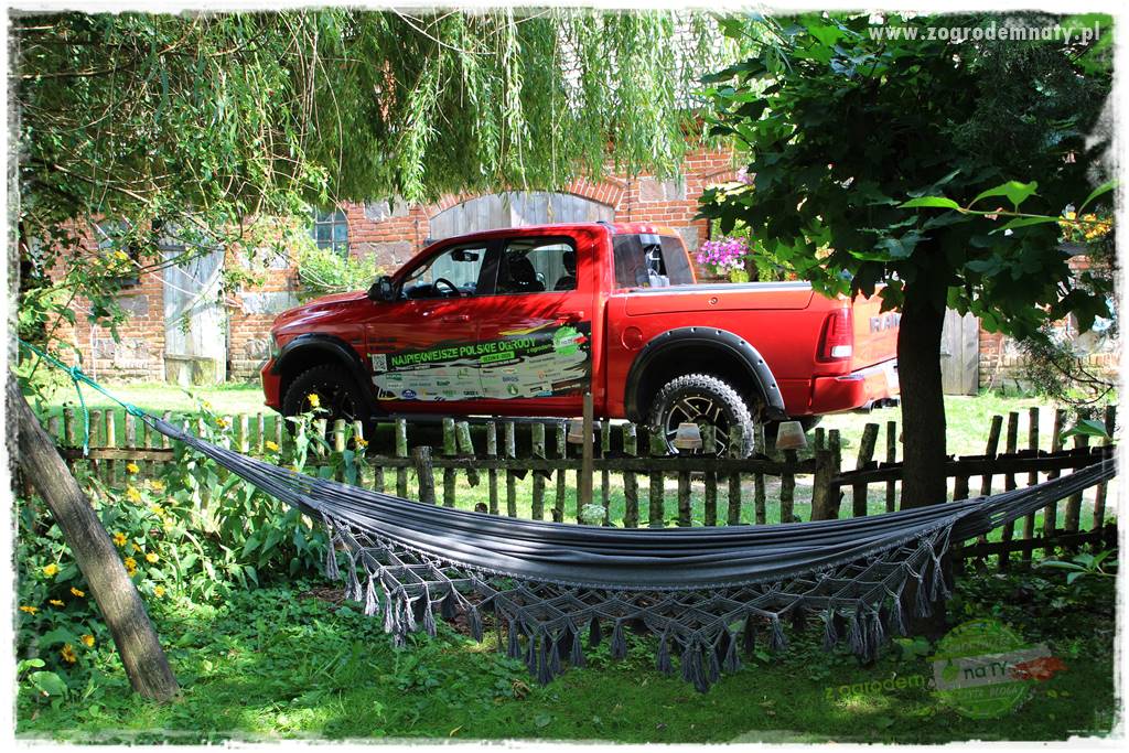 siedlisko łowickie 405