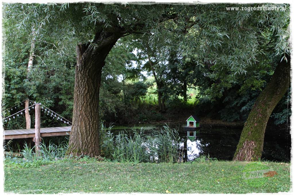 siedlisko łowickie 410